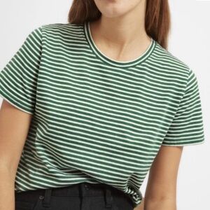 Everlane Green and White Striped Cotton T-Shirt